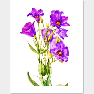 Texas Bluebells Watercolor Painting Posters and Art